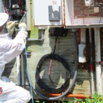 TPG Telecom - T-Mobile Upgrade Bee Hive PPC Panel