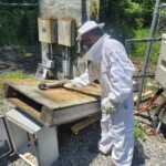 TPG Telecom - T-Mobile Upgrade Bee Hive PPC Panel