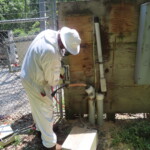 TPG Telecom - T-Mobile Upgrade Bee Hive PPC Panel