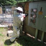 TPG Telecom - T-Mobile Upgrade Bee Hive PPC Panel