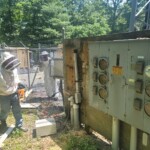 TPG Telecom - T-Mobile Upgrade Bee Hive PPC Panel